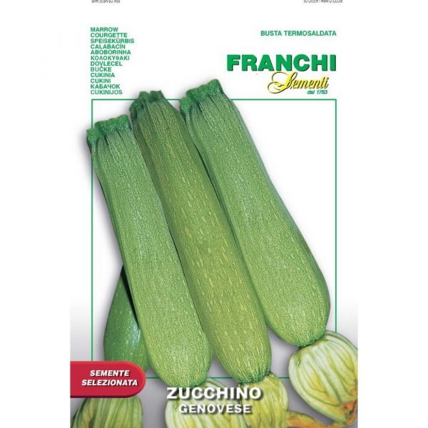Semente selezionata zucchino genovese