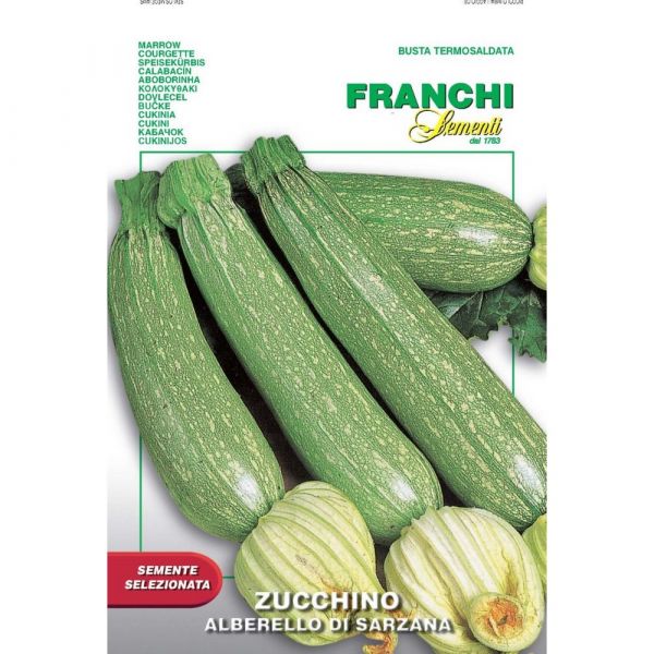 Semente selezionata zucchino alberello di sarzana