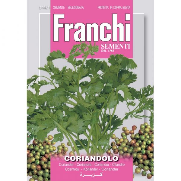 Semente aromatica coriandolo