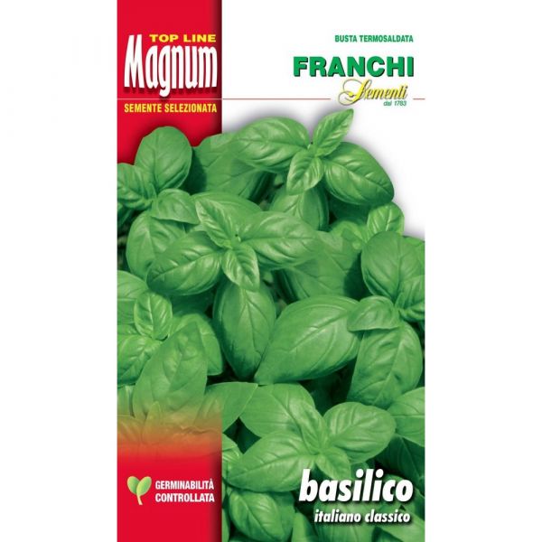 Semente magnum basilico italiano classico