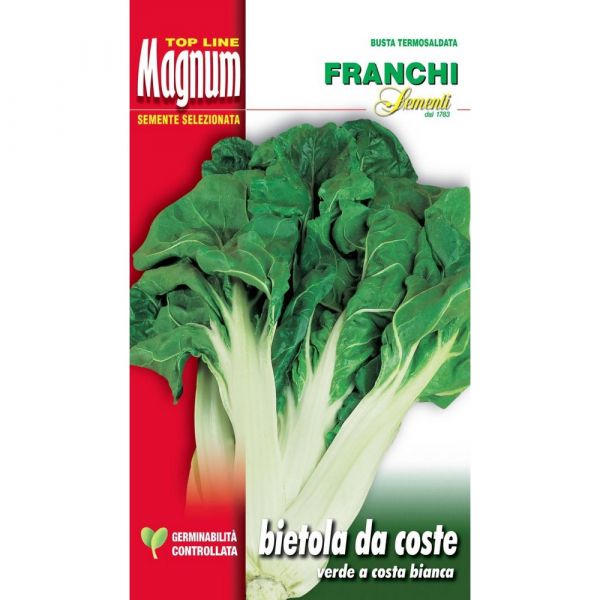 Semente magnum bietola da coste verde a costa bianca
