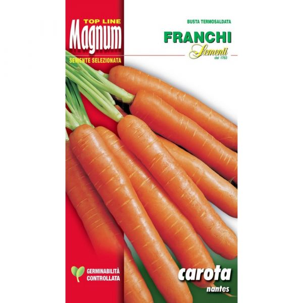 Semente magnum carota nantes