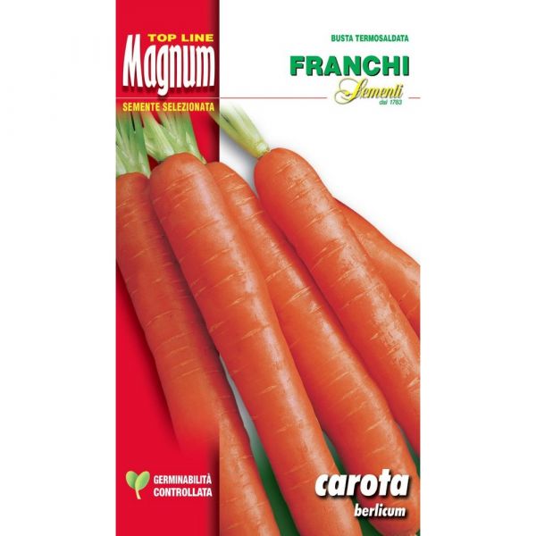 Semente magnum carota berlicum