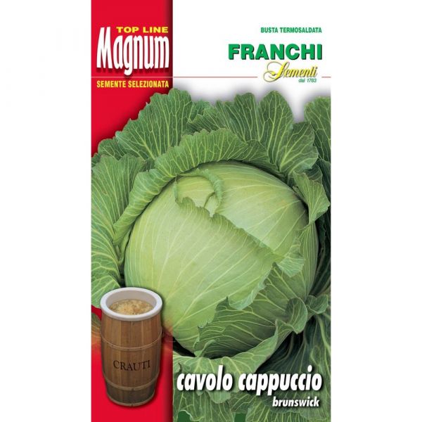 Semente magnum cavolo cappuccio brunswick