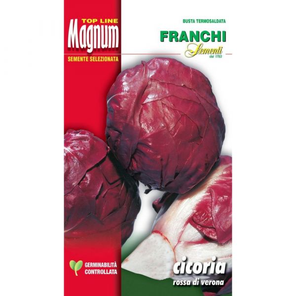 Semente magnum cicoria rossa di verona