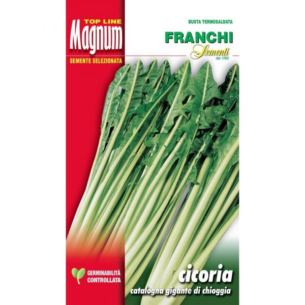 Semente magnum cicoria catalogna gigante di chioggia