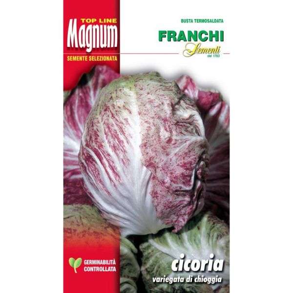 Semente magnum cicoria variegata di chioggia