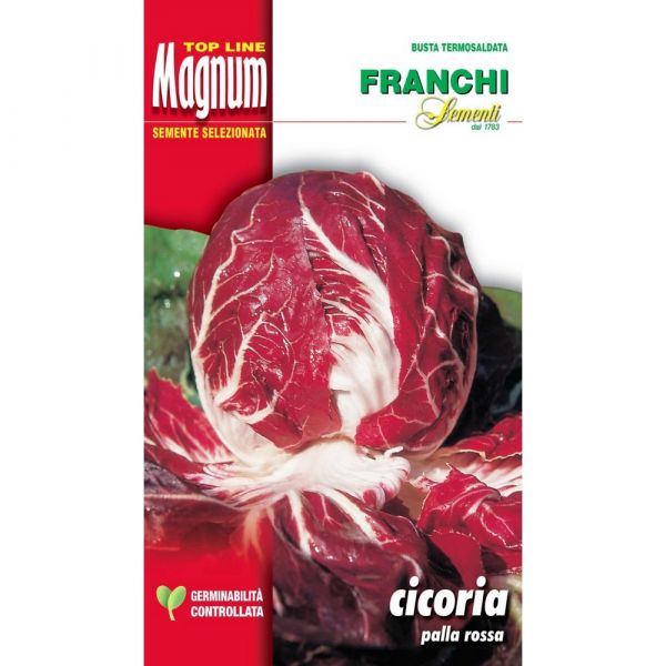 Semente magnum cicoria palla rossa