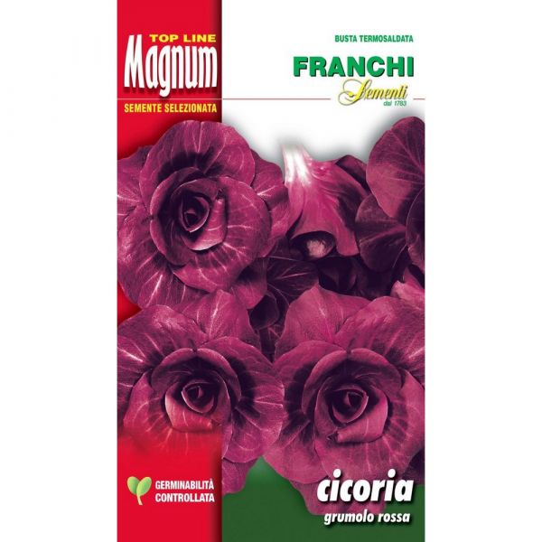 Semente magnum cicoria grumolo rossa