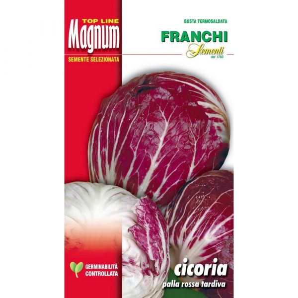Semente magnum cicoria palla rossa tardiva