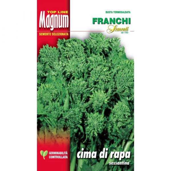 Semente magnum cima di rapa sessantina