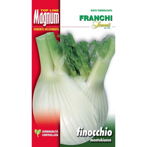 Semente magnum finocchio montebianco