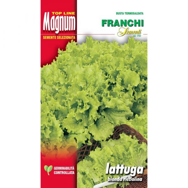 Semente magnum lattuga bionda ricciolina