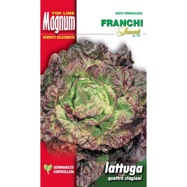 Semente magnum lattuga quattro stagioni