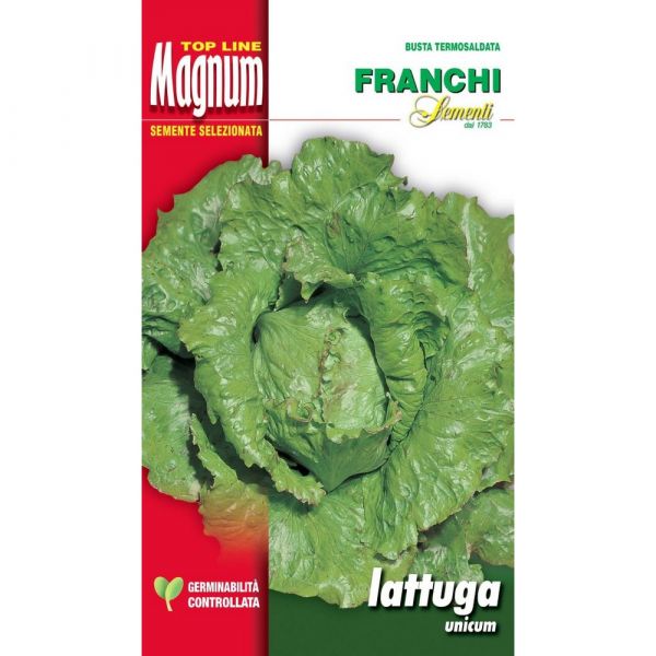 Semente magnum lattuga unicum