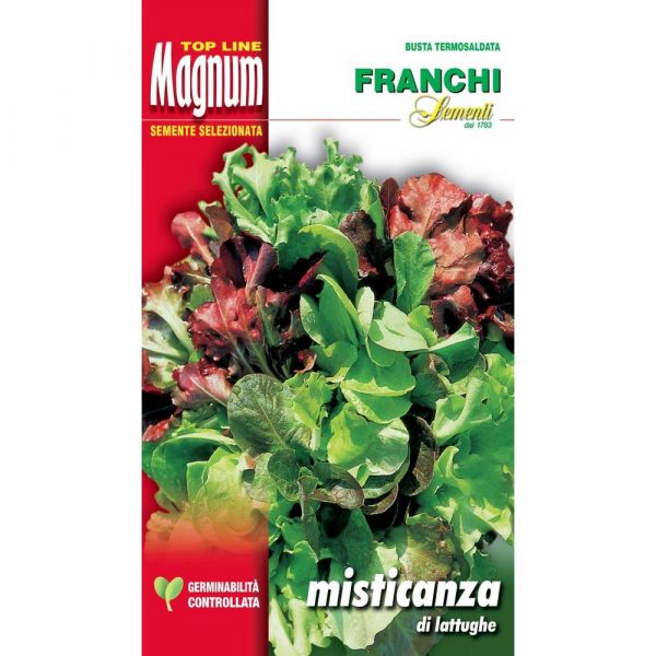 Semente magnum misticanza di lattughe