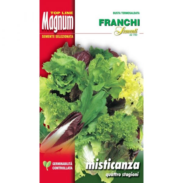 Semente magnum misticanza quattro stagioni