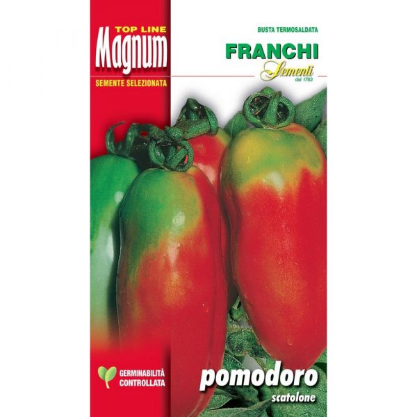 Semente magnum pomodoro scatolone