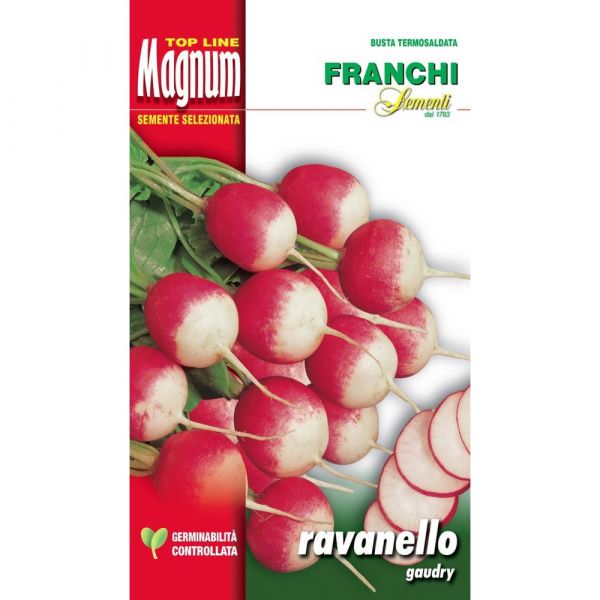 Semente magnum ravanello gaudry