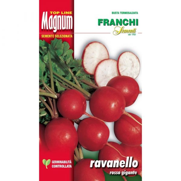 Semente magnum ravanello rosso gigante