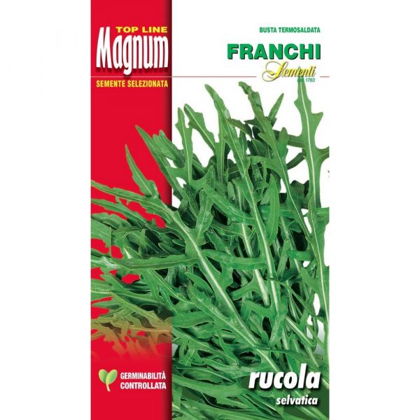 Semente magnum rucola selvatica