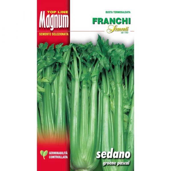 Semente magnum sedano groene pascal