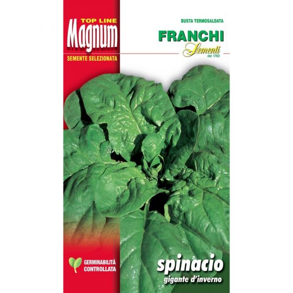 Semente magnum spinacio gigante d'inverno