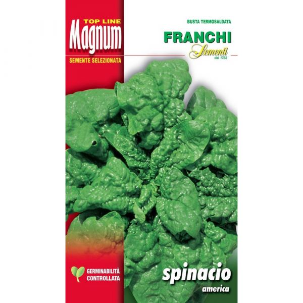 Semente magnum spinacio america