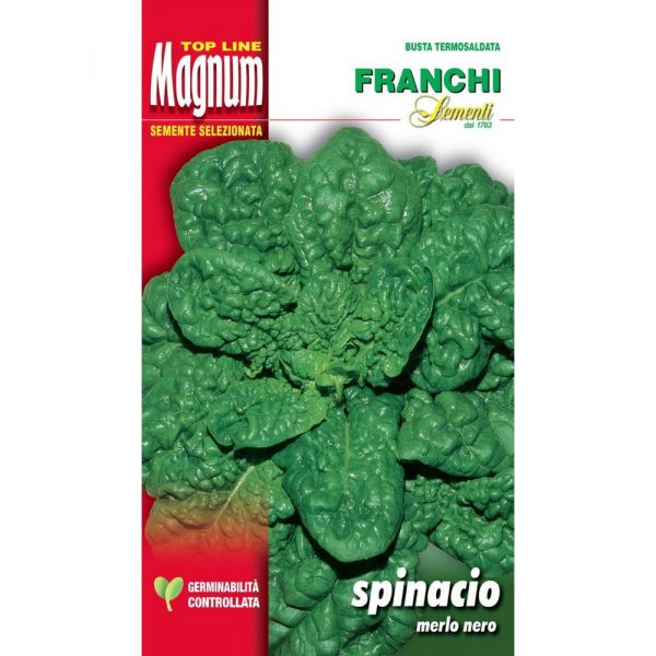 Semente magnum spinacio merlo nero