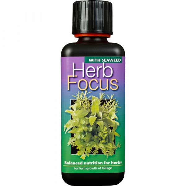 Herb focus 300ml