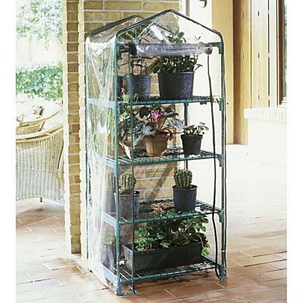 Serra azalea a 4 ripiani