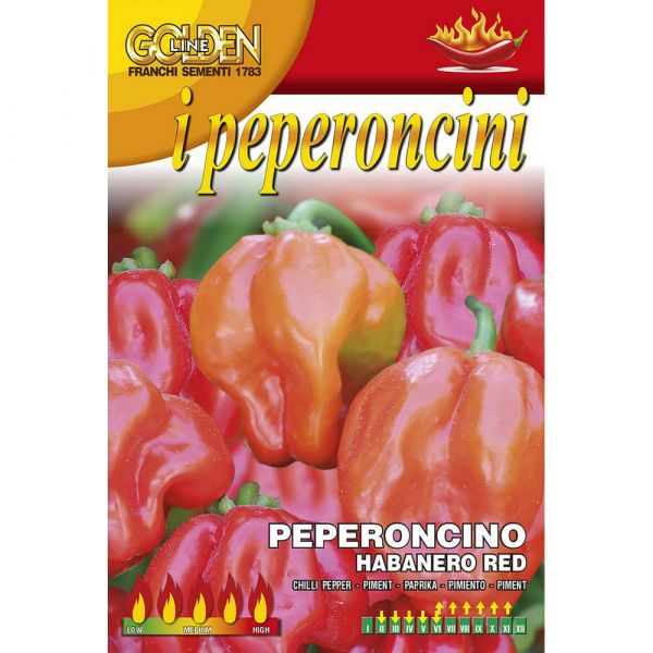Semente peperoncino piccante habanero red