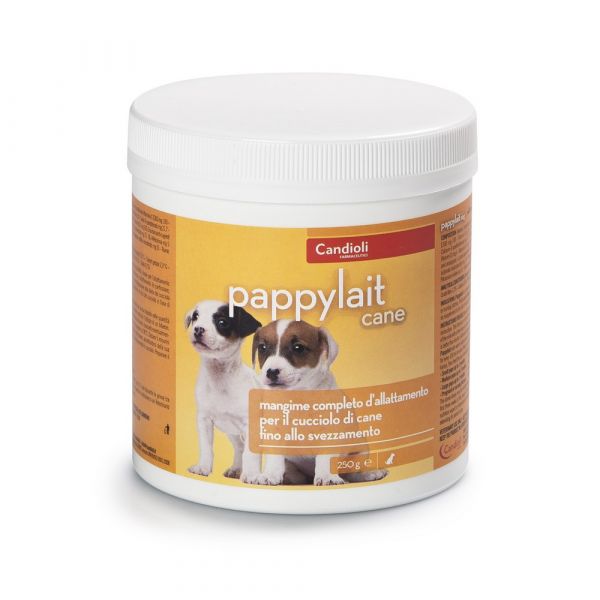 Pappylait cane 250gr