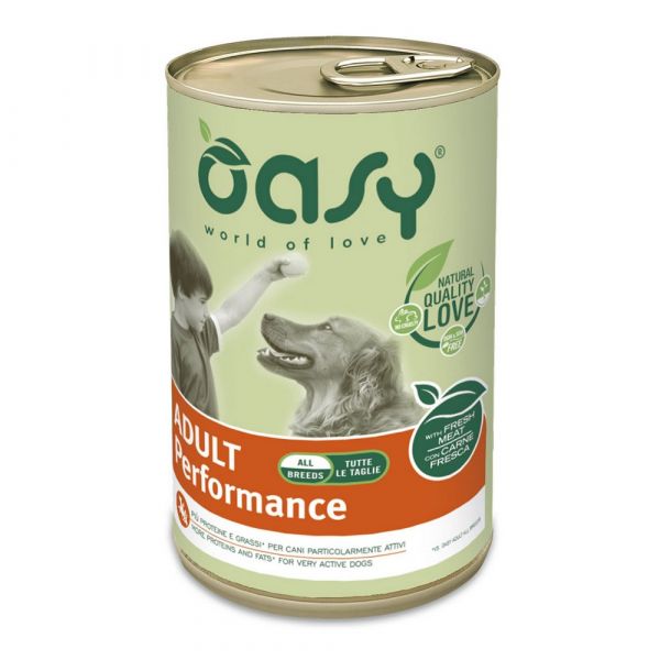 Oasy cane l.stage performance