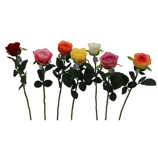 3838445739738-single-rose-stem
