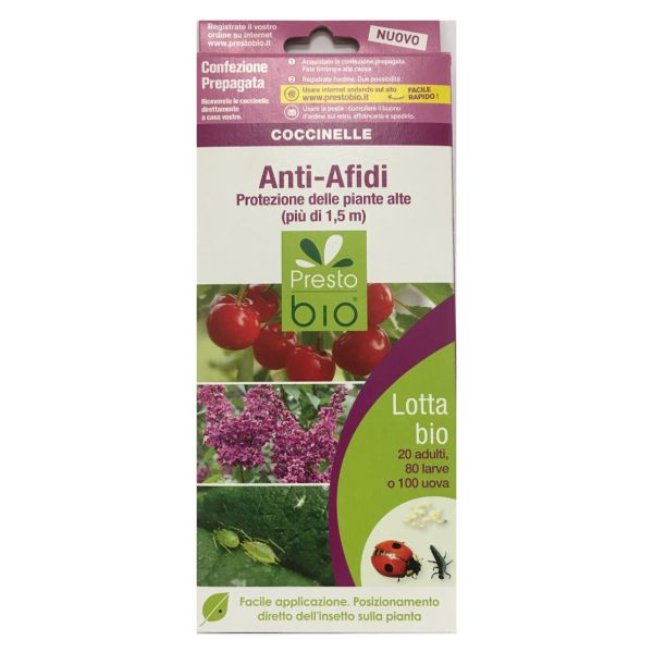 Coccinelle anti afidi - COUPON