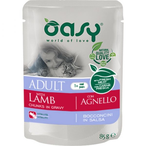 Oasy cat bocc.agnello