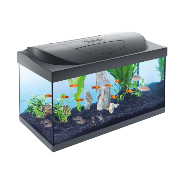 Acquario starter line tank led