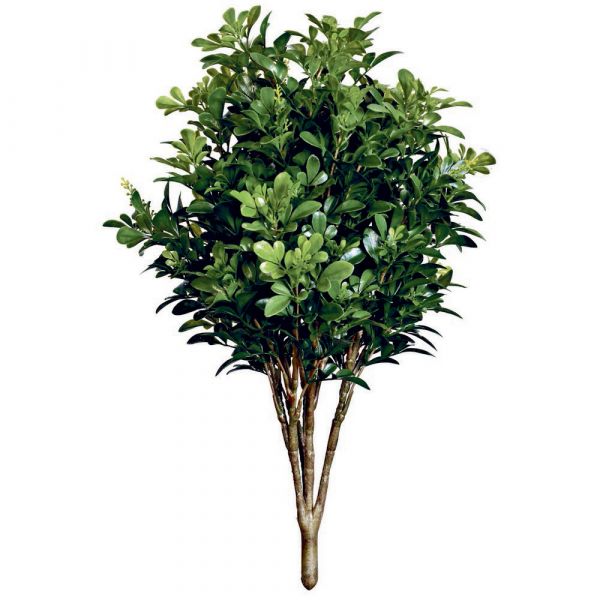 Siepe artificiale buxus 3d