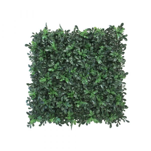 Siepe artificiale buxus