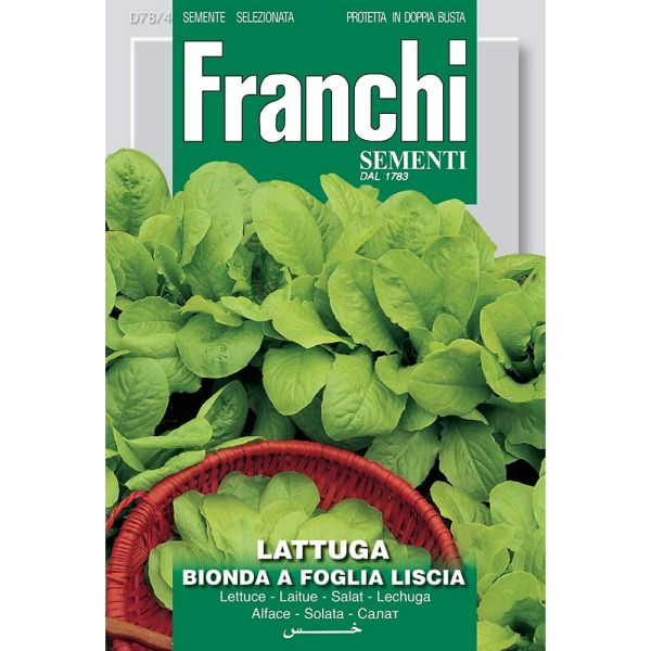 Semente magnum lattuga bionda a foglia liscia