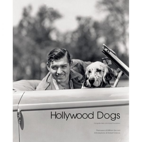 Hollywood dogs