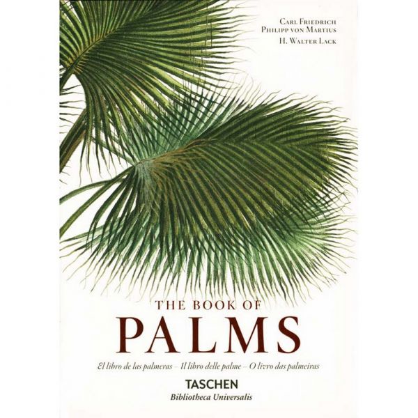 C. f. p. von martius. the book of palms