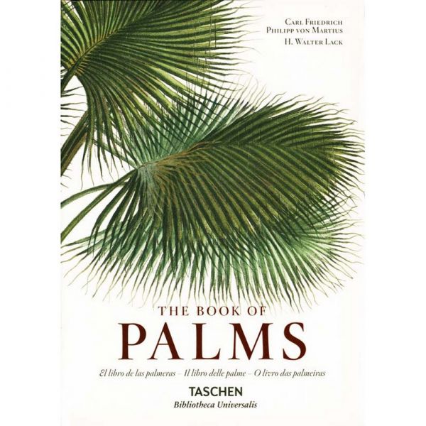 C. f. p. von martius. the book of palms