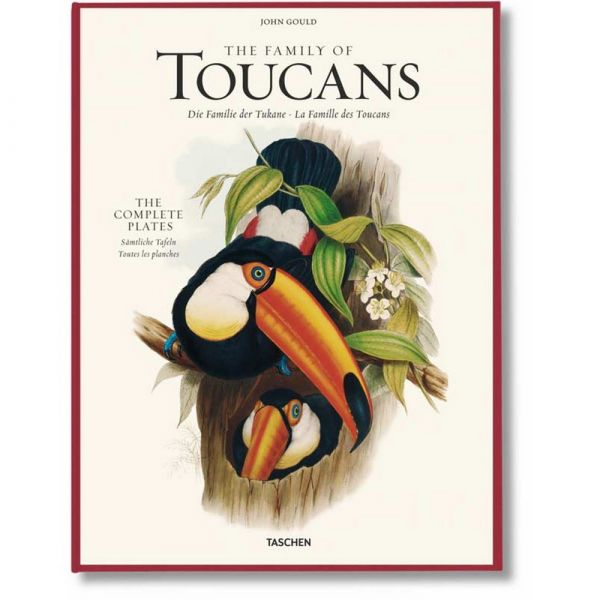 The family of toucans