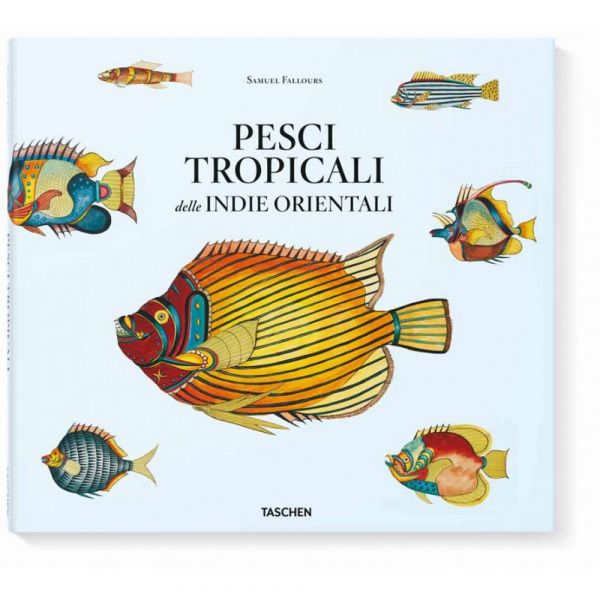 Pesci tropicali delle indie orientali