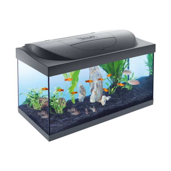 Acquario starter line tank led