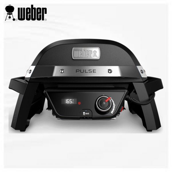 Barbecue pulse 1000