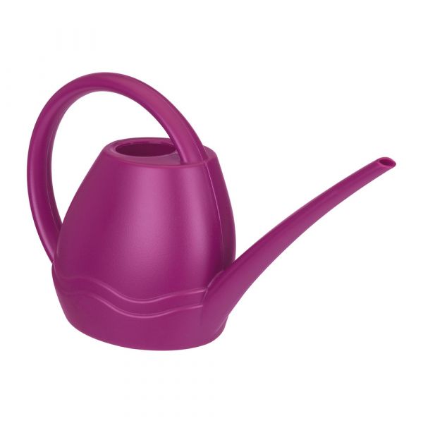 Aquarius watering can cherry