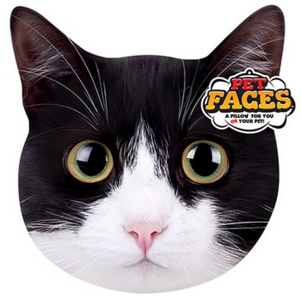 Pet faces exotix cat